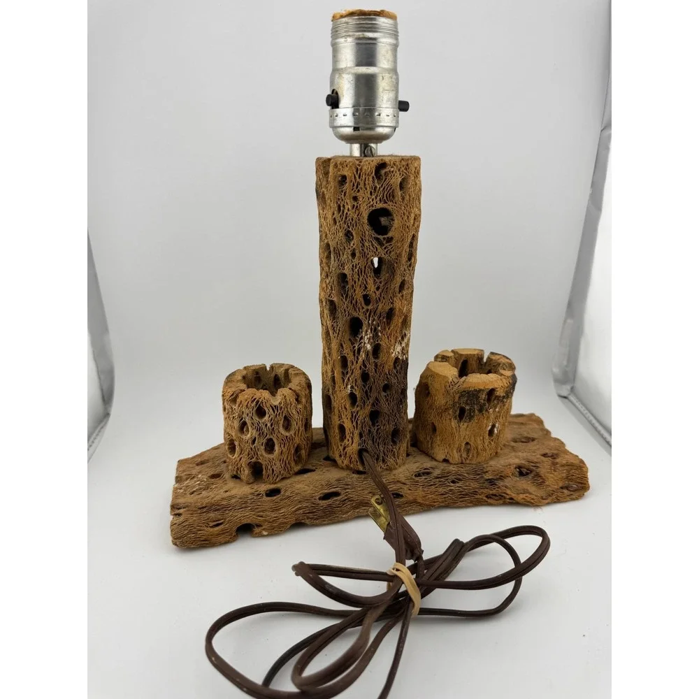 Cholla Cactus Lamp Rustic Desert‎ Decor Table Lamp Unique Accent Lighting